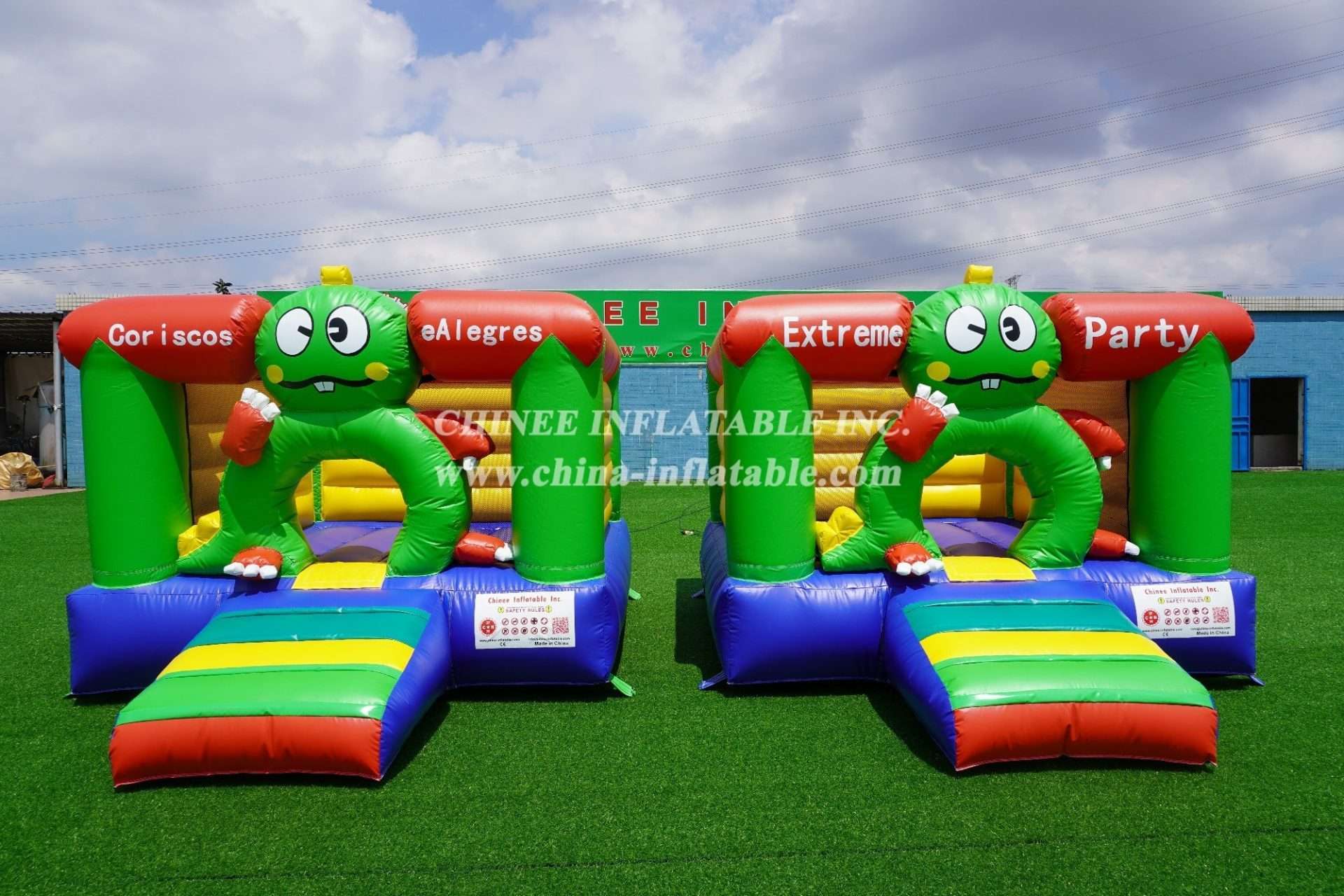 T1-8 Big eye frog theme inflatable bouncer