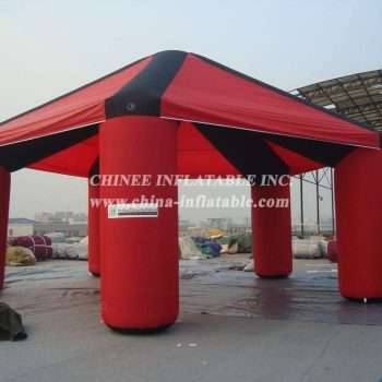 TENT1-417-2011-12-29-2.jpg