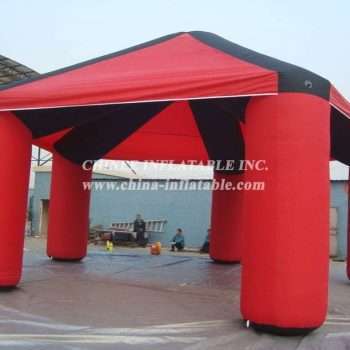 TENT1-417-2011-12-29-4.jpg