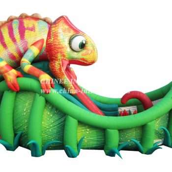 chameleon-slide-1517.jpg