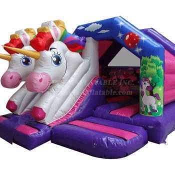 AQ8105-15x12ft-3D-Twin-Head-Unicorn-Front-Slide-Combi-2.jpg