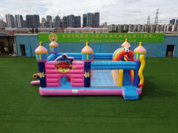 T2-4093B Custom Bouncy Castle With Slide