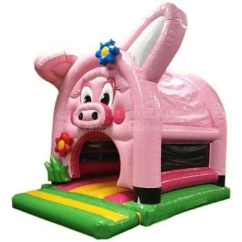 HEAD-BOUNCER-PIG-DETAIL-1.jpg